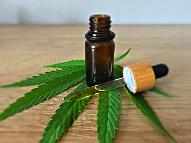 Why CBD Oils are Becoming the Wellness Trend