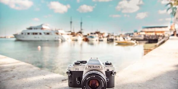 Nikon Camera Buying Guide: Find Your Perfect Match